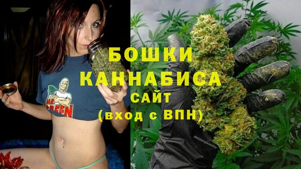стафф Балахна