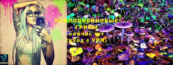 стафф Балахна